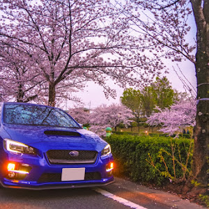 WRX S4 VAG