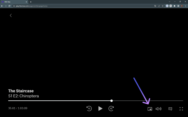 Netflix Picture in Picture now for Prime & D+ Preview image 5