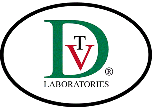DVT Labs