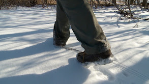 Big Bucks and Small Game: Wisconsin Whitetail Deer thumbnail