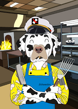 Chef Boi R Doge Mutt #411