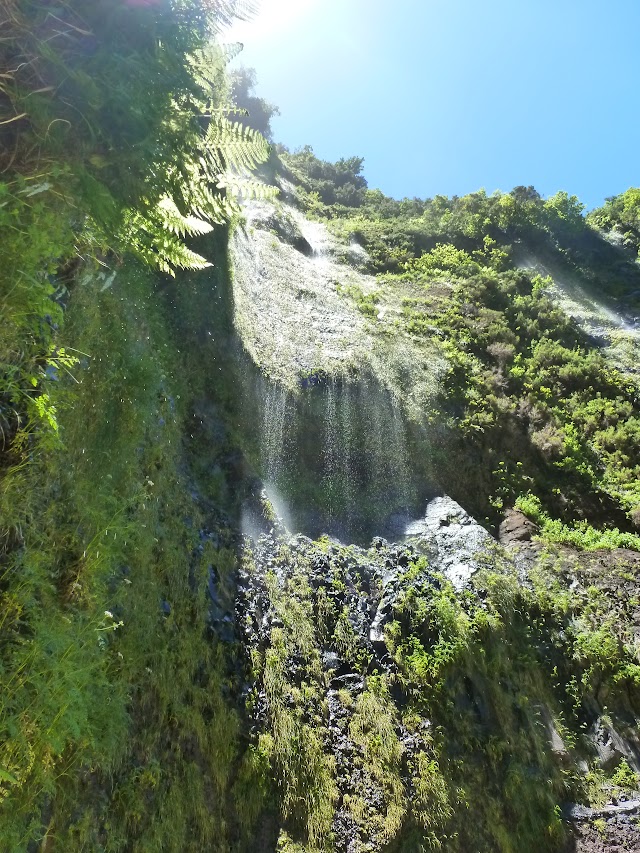 MADEIRA, Senderismo por sus Levadas y algo más - Blogs de Portugal - SANTANA. QUEIMADAS – CALDEIRAO VERDE-CALDEIRAO DO INFERNO (24)