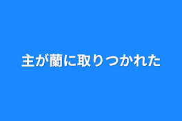 主が蘭に取りつかれた