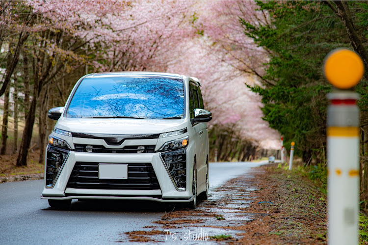 ヴォクシーの目指せPickUpCars・青森県ユーザー・PickUpチャレンジ・サクラと愛車・NikonD780に関するカスタム事例の投稿画像5枚目
