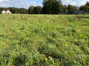 terrain à Plélan-le-Grand (35)