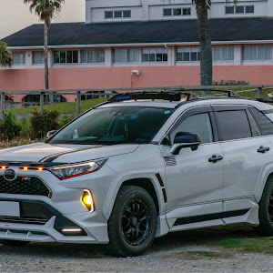 RAV4 MXAA54