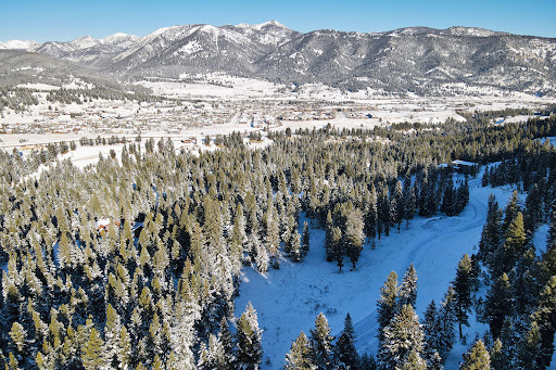 Terrain 1