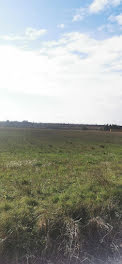 terrain à Rieux-Minervois (11)