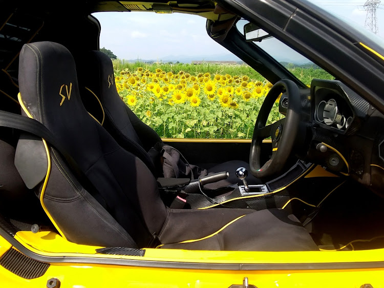 AZ-1の花とコラボ・向日葵・向日葵と愛車・ひまわり畑・ひまわりコラボに関するカスタム事例の投稿画像2枚目