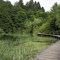 a pelo d'acqua di 