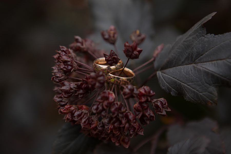 Bröllopsfotograf Ekaterina Ilina (ekaterinailina74). Foto av 15 oktober 2018