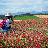 Fiore tra i fiori di 