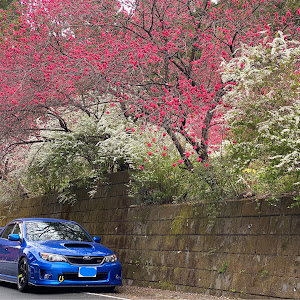 インプレッサ WRX STI GVB