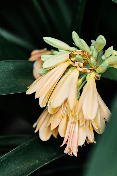 Photographe de mariage Ivan Tarusin (tarusinphoto). Photo du 5 février 2020