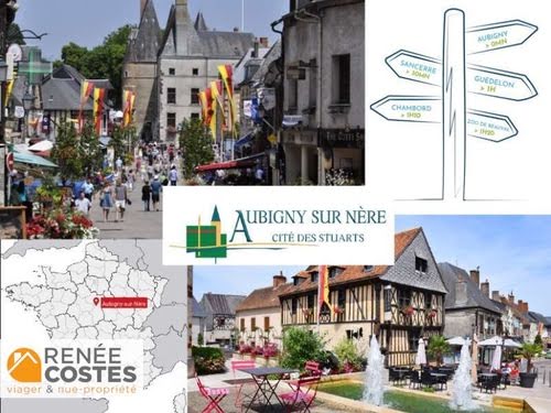 Vente viager 6 pièces 86 m² à Aubigny-sur-Nère (18700), 41 000 €