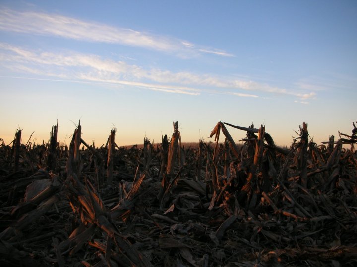 Campo d'autunno di GIULIA79