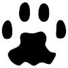 PAW Server for Android icon