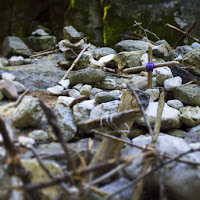 Croci nel cammino di 