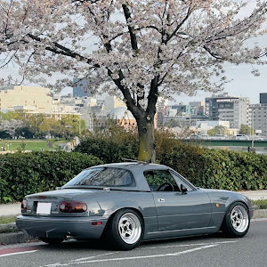 ロードスター NA6CE