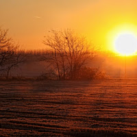 Il primo soloe del mattino ! di 