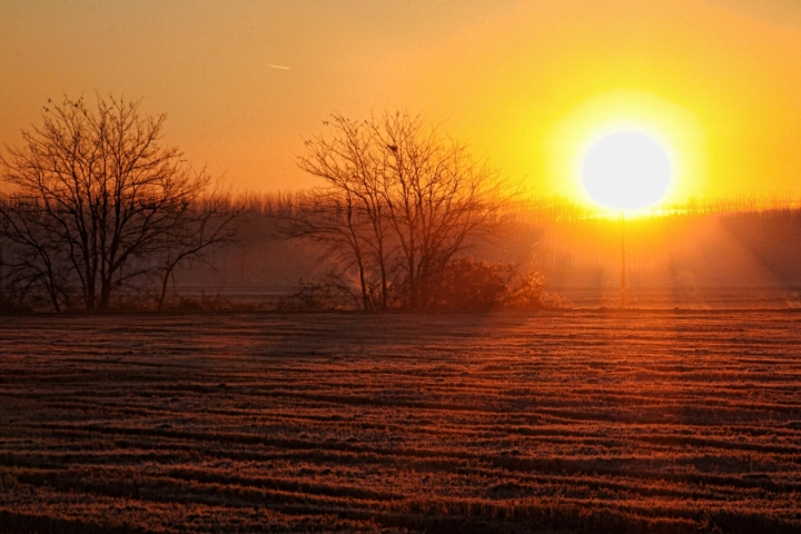 Il primo soloe del mattino ! di Massimo Tiozzo