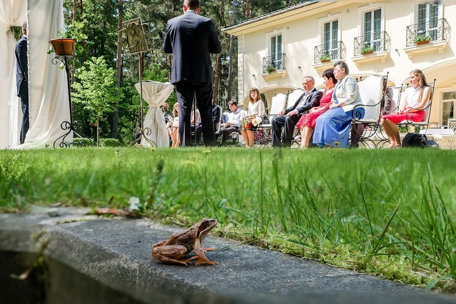 Bröllopsfotograf Al Kr (krupal). Foto av 6 september 2017