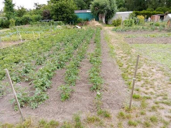 terrain à Denain (59)