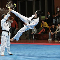 Taekwondo- Mom Dollyo Chagi di 