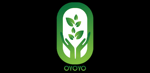 oyoyo