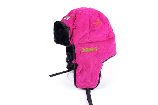Title 7, Winter Embroidered Lei Feng Hat