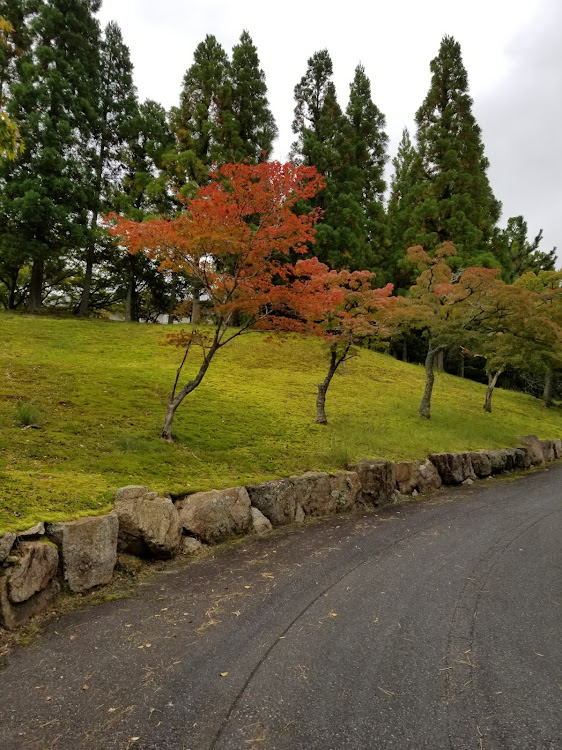 の投稿画像4枚目