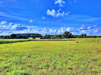 terrain à Cerizay (79)