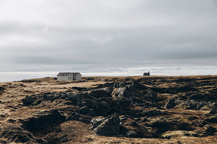 Wedding photographer Anna Bilous (hinhanni). Photo of 25 April 2018