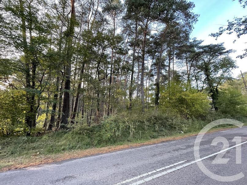 Vente terrain à batir  1000 m² à Arbonne-la-Forêt (77630), 139 000 €