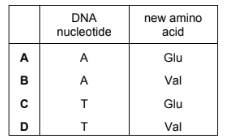 The genetic code