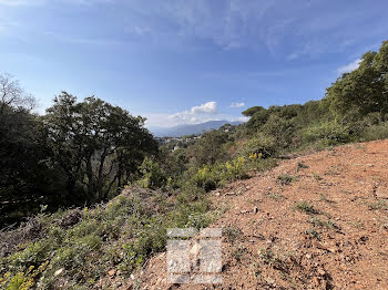 terrain à Bastia (2B)