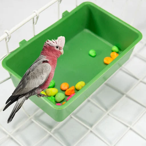 Multifunction Bird Food Tray Parrot Bathtub Animal Cage Standing Wash Shower Box New Bird Toys Pet Bird Cleaning Product
