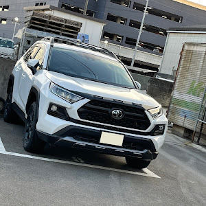 RAV4 MXAA54