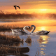 Download Evening Swan Love LWP For PC Windows and Mac 3