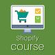 Download Course for Shopify - ecommerce & dropshipping site For PC Windows and Mac 21