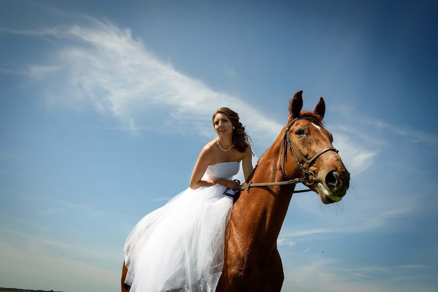 Svatební fotograf Irina Selickaya (selitskaja). Fotografie z 27.listopadu 2015