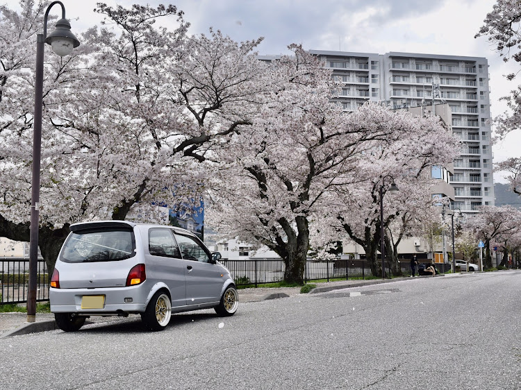 ミニカの軽自動車に8J・165/50R15・桜と愛車・ピックアップ一度でも載ってみたい・桜とコラボに関するカスタム事例の投稿画像2枚目