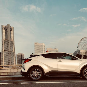 C-HR ZYX11