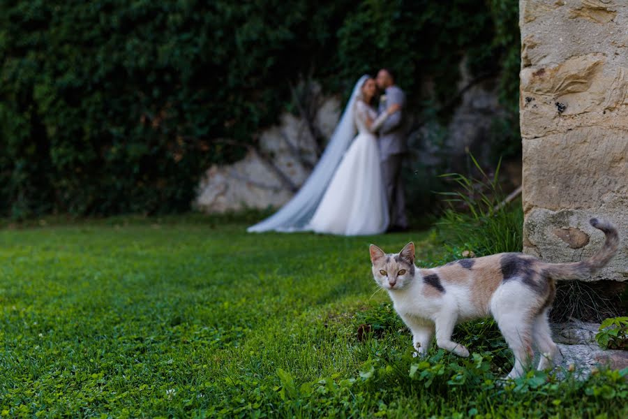 Fotografo di matrimoni Alexandru Stoleriu (alexstoleriu). Foto del 24 agosto 2022