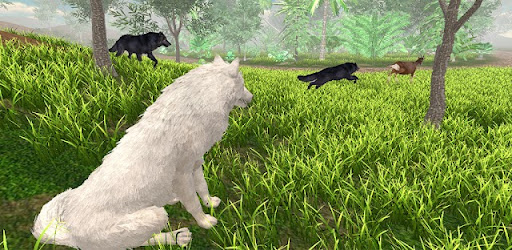 Wild Wolf Games: Animal Sim 3D