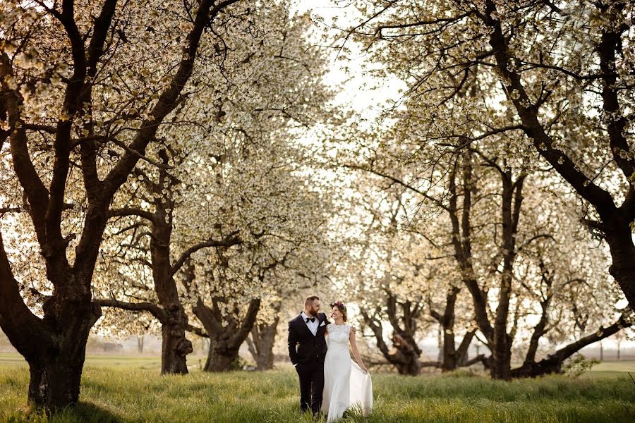 Fotógrafo de casamento Tom Sokulski (kasiaitomekfotog). Foto de 25 de fevereiro 2020