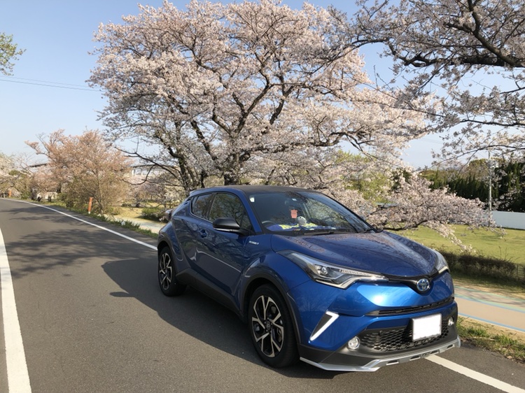 C-HRのC-HR・桜・桜とコラボ・アヒル隊に関するカスタム事例の投稿画像2枚目
