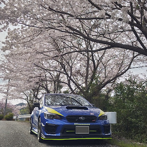 WRX STI VAB