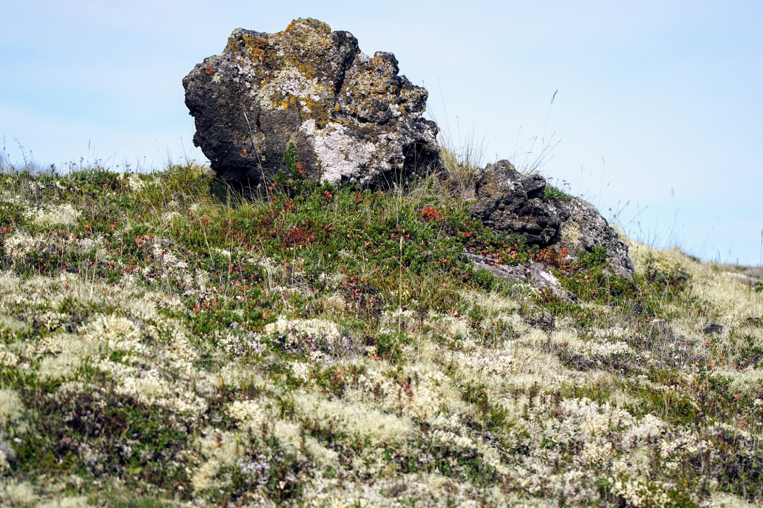 Исландия - родина слонов (архипелаг Vestmannaeyjar, юг, север, запад и Центр Пустоты)