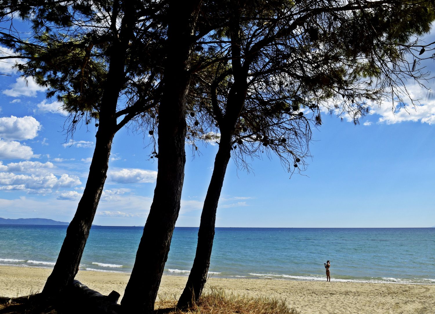 Il mare di Luciano Fontebasso